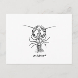 Carte Postale avoir du homard ?