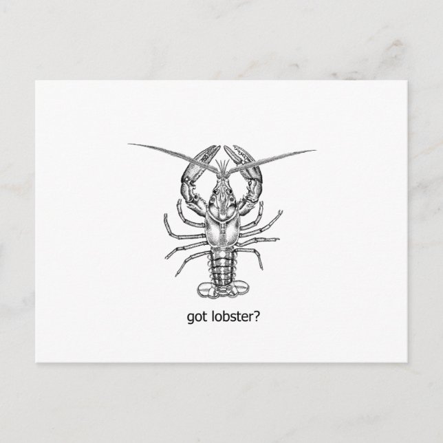 Carte Postale avoir du homard ? (Devant)