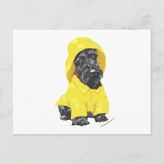 Carte Postale Avril Douches Scottish Terrier (Devant)
