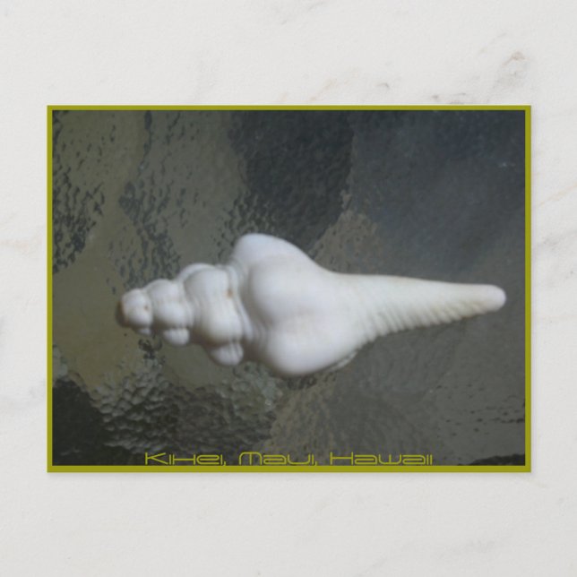Carte Postale Axe Shell de Maui, (Devant)