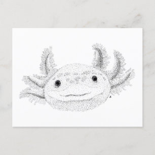 Carte Postale Axolotl
