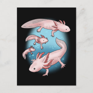Carte Postale Axolotl Cadeaux Enfants Kawaii Axolotl Cadeaux Hom