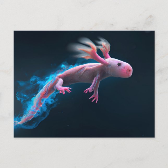 Carte Postale Axolotl rose (Devant)