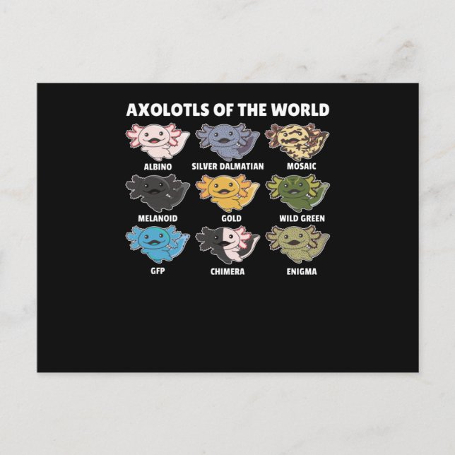 Carte Postale Axolotls Du Monde Sweet Animaux Axolotl (Devant)