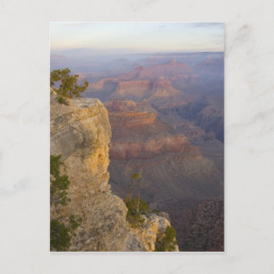 Carte Postale AZ, Arizona, parc national du Grand Canyon, sud 7