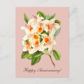 Carte Postale Azalée magnifique, Anniversaire