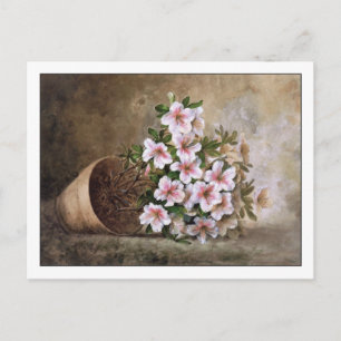 Carte Postale Azalées blanches Fine Art Nature morte Paul de Lon