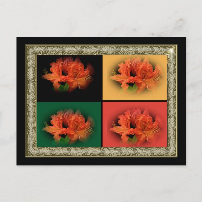 Carte Postale Azalées orange (Devant)