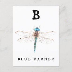 Carte Postale "B" Bleu Darner
