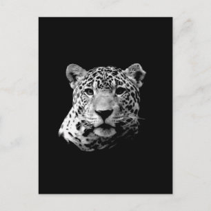 Carte Postale B&W Jaguar