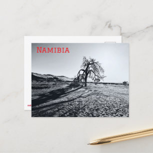 Carte Postale B+W Namib Arbre du désert