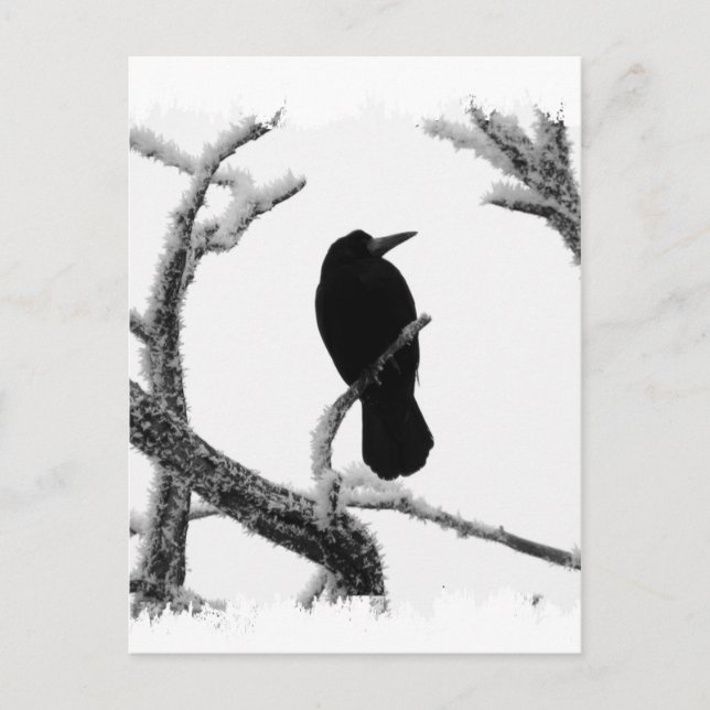 Carte Postale B&W Winter Raven Edgar Allan Poe (Devant)