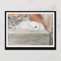 Carte postale B.Weaver Orion