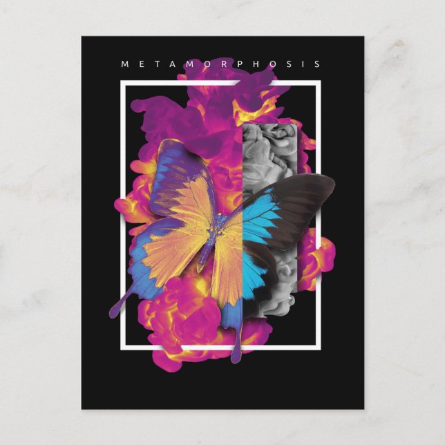 Carte Postale Babfly (Devant)