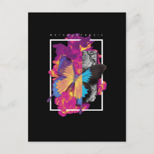 Carte Postale Babfly