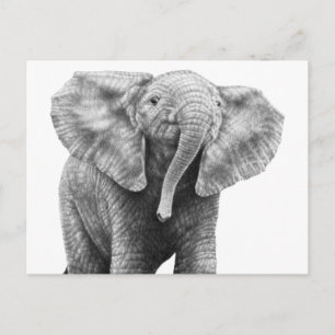Carte postale Baby African Elephant