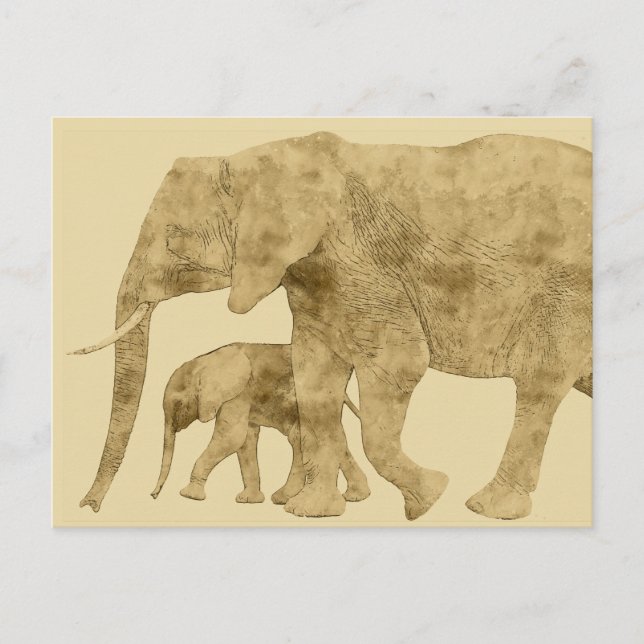Carte Postale Baby Elephant avec c'est Mère (Devant)