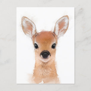 Carte postale Baby Fawn