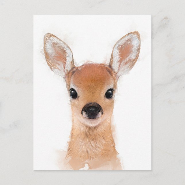 Carte postale Baby Fawn (Devant)