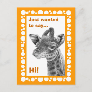 Carte Postale Baby Giraffe Retro Circles Postcard