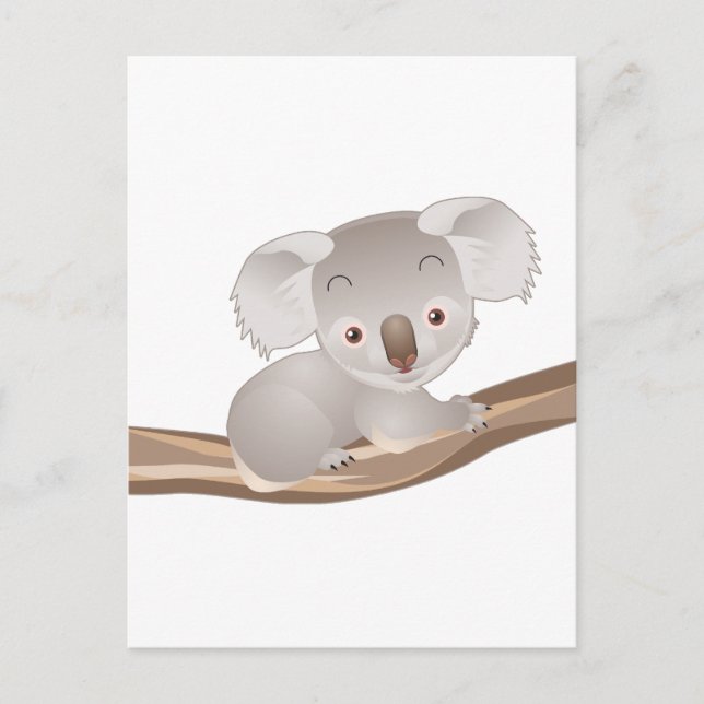 Carte Postale Baby Koala (Devant)