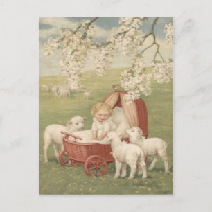 Carte Postale Baby Lamb Dogwood Tree Field