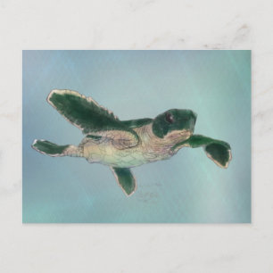 Carte Postale Baby sea Turtle