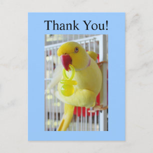 Carte Postale Baby shower de Merci indien Ringneck