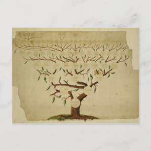 Carte Postale Bach Family Tree, c.1750-1770