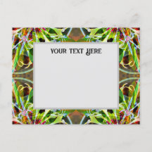 Carte postale Bachelor Button