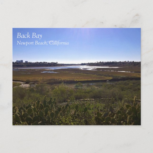 Carte Postale Back Bay, Newport Beach, Californie (Devant)