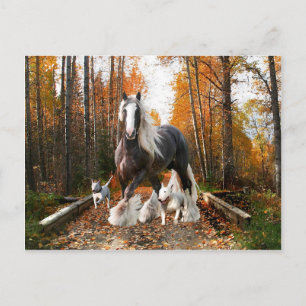 Carte postale "Backroads Ramble"