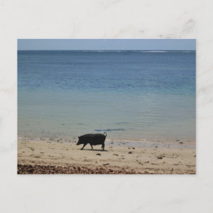 Carte Postale Badetag
