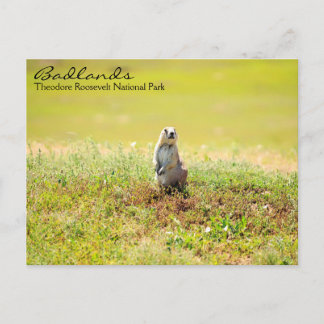 Carte postale Badlands of North Dakota