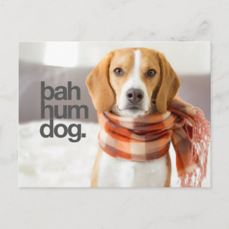 Carte Postale "Bah Hum Dog" Beagle