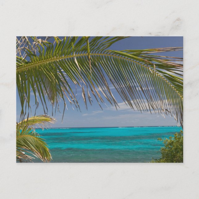 Carte Postale BAHAMAS, Abacos, Loyalist Cays, Man O'War Cay : (Devant)