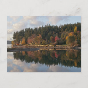Carte Postale Baie de Fletcher