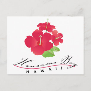 Carte Postale Baie de Hanauma Hawaii - Fleur d'Hibiscus Rouge