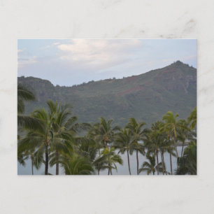 Carte Postale Baie de Kalapaki à Kauai