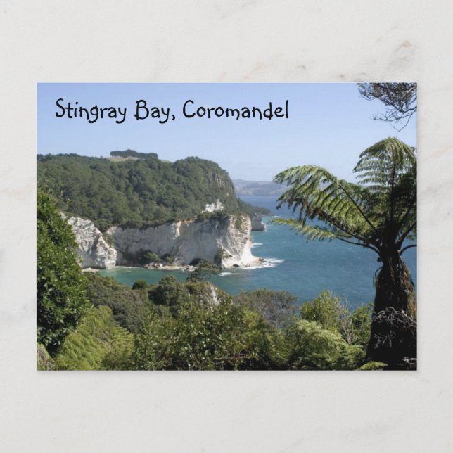 Carte Postale Baie de Stingray, Coromandel (Devant)
