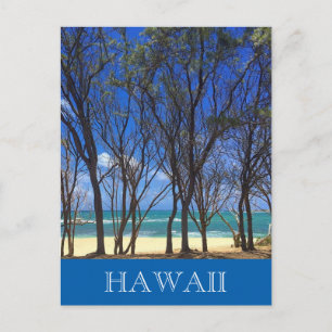 Carte Postale baie de tortues