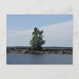 Carte Postale Baie de Westcott