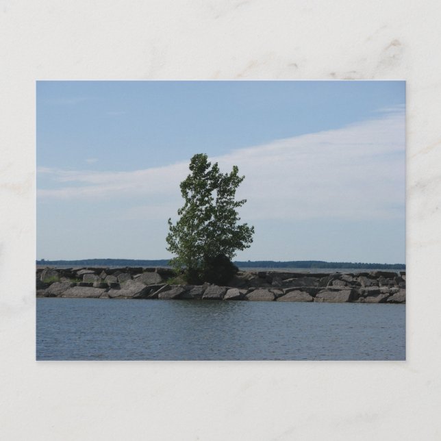 Carte Postale Baie de Westcott (Devant)