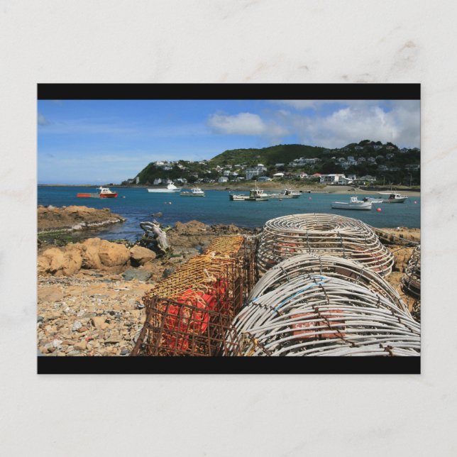 Carte Postale Baie d'Island, Wellington (Devant)