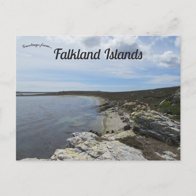 Carte Postale Baie d'Ordinance Point îles Malouines (Devant)