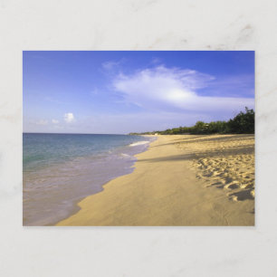 Carte Postale Baie Longue Long Bay Beach, St Martin,