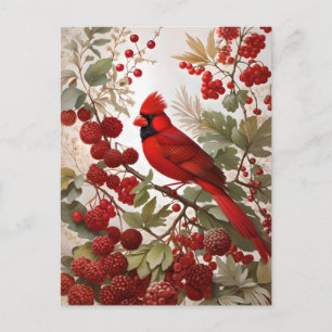 Carte Postale Baies rouges d'oiseaux du Cardinal Nord