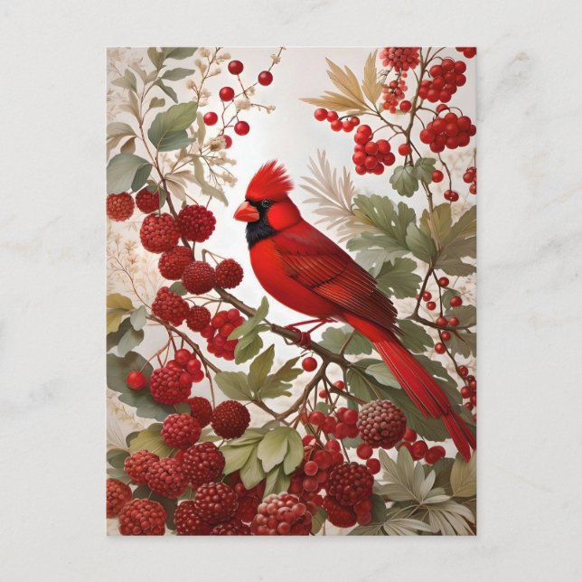 Carte Postale Baies rouges d'oiseaux du Cardinal Nord (Devant)