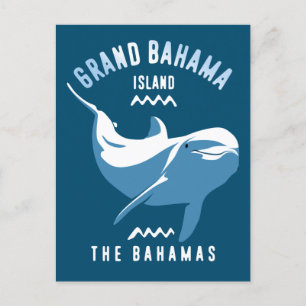 Carte Postale Baignade avec Dolphins Grand Bahama Plongée sous-m