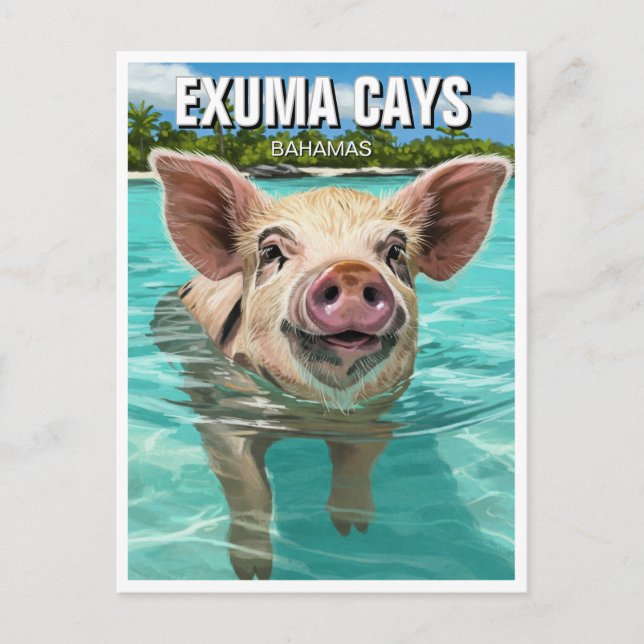 Carte Postale Baignade Cochon Exuma Cays Bahamas Voyage (Devant)